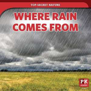 Where Rain Comes from de Marie Rogers