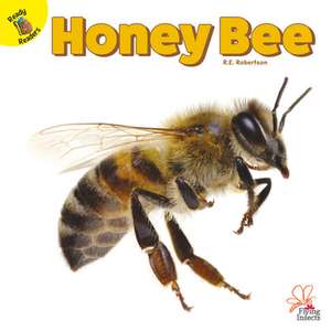 Honey Bee de J Jean Robertson