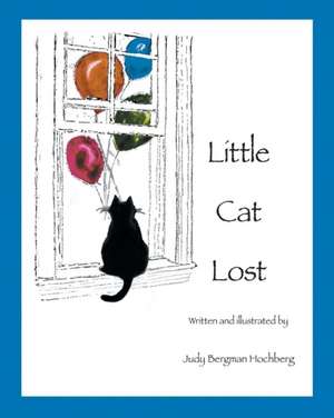 Little Cat Lost de Judy Bergman Hochberg