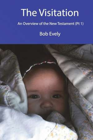 The Visitation, An Overview of the New Testament (Part 1) de Bob Evely