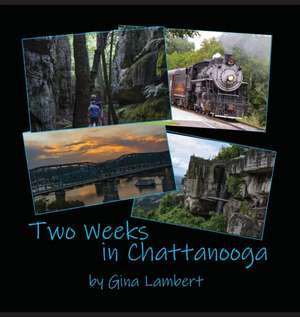 Two Weeks in Chattanooga de Gina Lambert