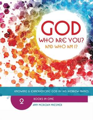 [Mixed] God Who Are You? And Who Am I? de Ann Morgan Miesner