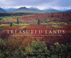 Treasured Lands de Qt Luong