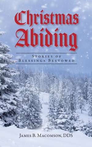 Christmas Abiding de James B. Macomson