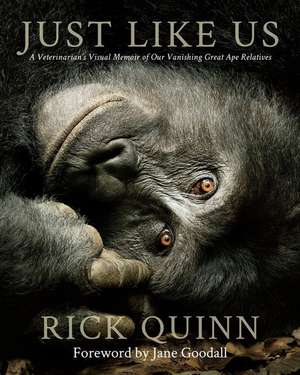 Just Like Us de Dr. Rick Quinn