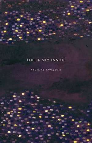 Like a Sky Inside de Jakuta Alikavazovic