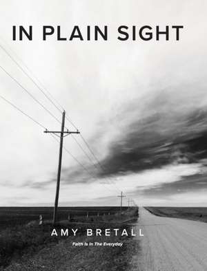 In Plain Sight de Amy Bretall