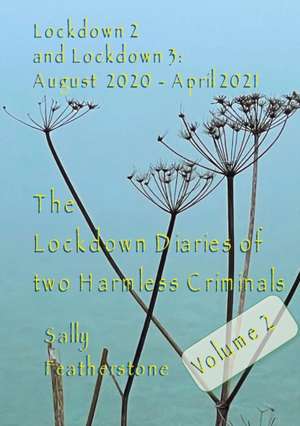 Lockdown Diary 2 de Sally Featherstone