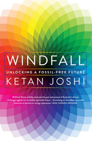 Windfall de Ketan Joshi