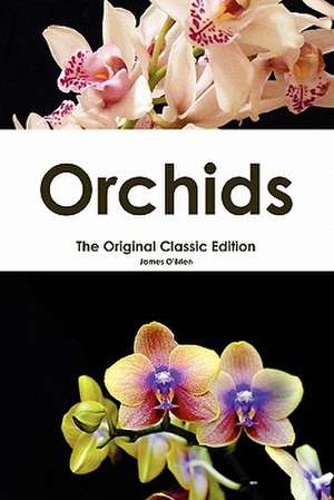 Orchids - The Original Classic Edition de James O'Brien