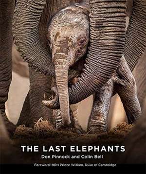 Bell, C: The Last Elephants