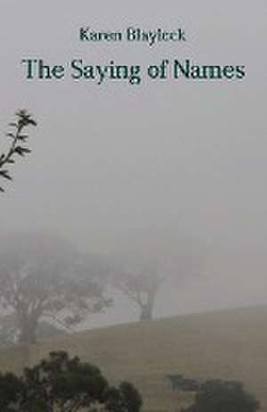 The Saying of Names de Karen Blaylock