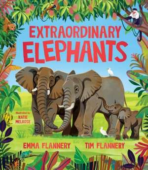 Extraordinary Elephants de Flannery
