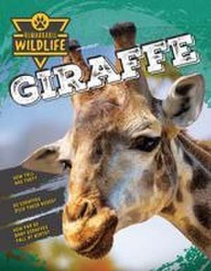 Giraffe de John Lesley
