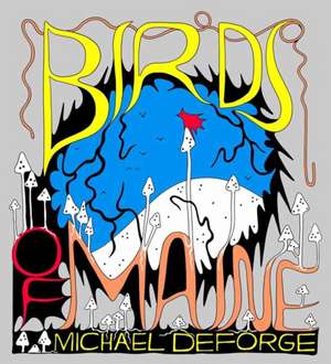 Birds of Maine de Michael Deforge