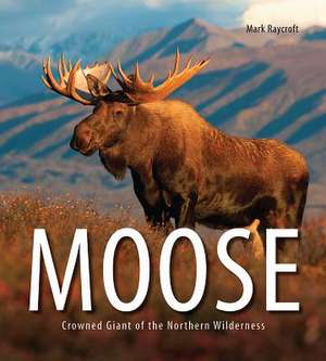 Moose: Crowned Giant of the Northern Wilderness de Mark Raycroft