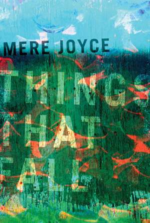 Things That Fall de Mere Joyce