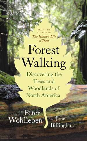 Forest Walking de Peter Wohlleben