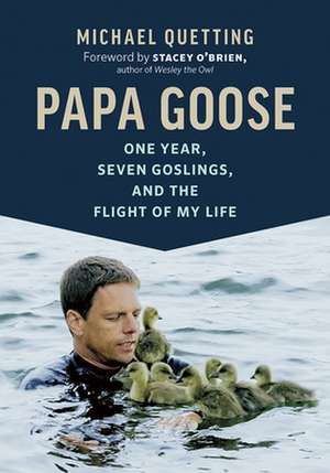 Papa Goose de Michael Quetting