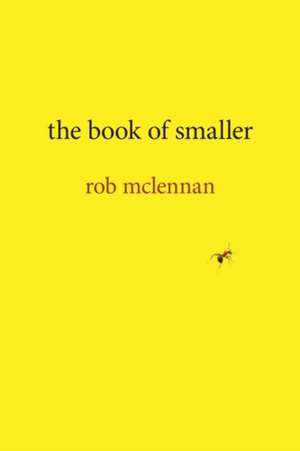 Book of Smaller de Rob Mclennan