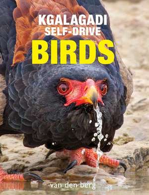 Kgalagadi Self-Drive Birds de Philip van den Berg