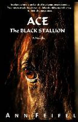 Ace, The Black Stallion de Ann Feifel