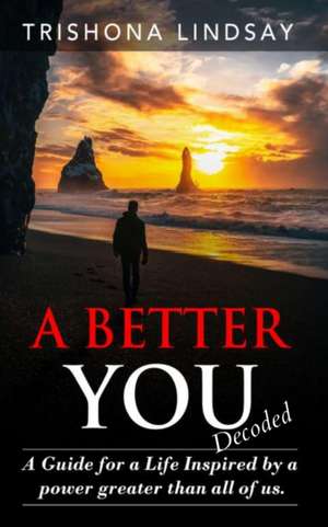 A Better You de Trishona Lindsay