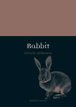 Rabbit de Victoria Dickenson