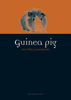 Guinea Pig de Dorothy Yamamoto