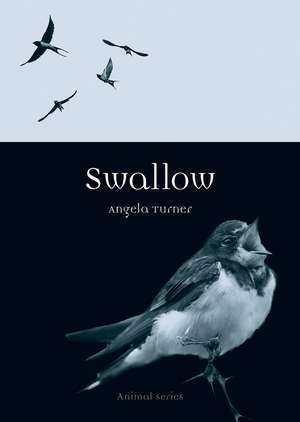 Swallow de Angela Turner