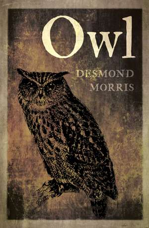 Owl de Desmond Morris