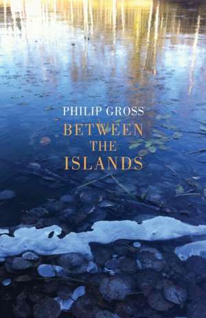 Between the Islands de Philip Gross