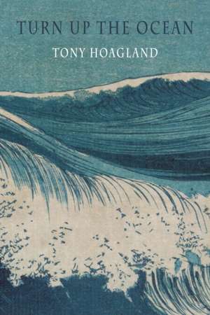 Turn Up the Ocean de Tony Hoagland