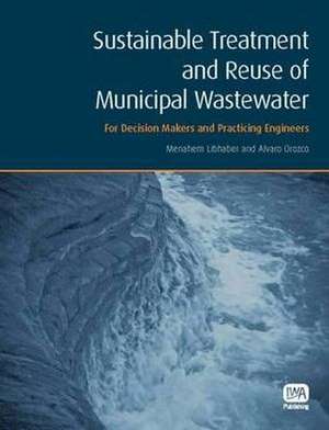 Sustainable Treatment and Reuse of Municipal Wastewater: Good Practice and Prevention de Menahem Libhaber