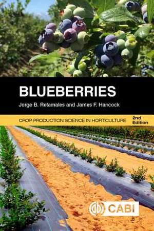 Blueberries de Jorge Retamales