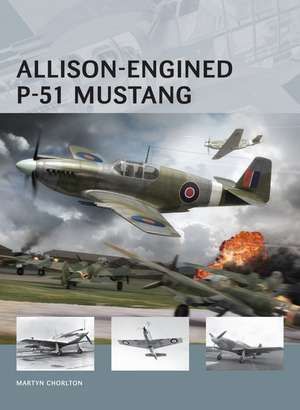 Allison-Engined P-51 Mustang de Martyn Chorlton