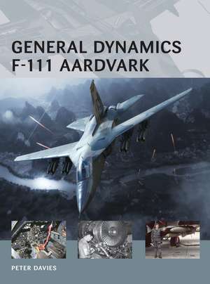 General Dynamics F-111 Aardvark de Henry Morshead