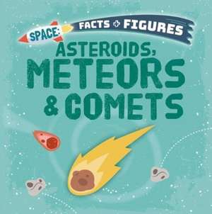 Asteroids, Meteors & Comets de Nancy Dickmann