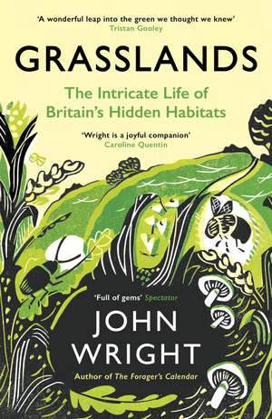 Grasslands de John Wright