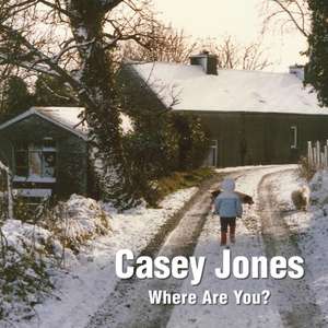 Casey Jones - Where Are You? a Winter Tale of a Lost Toy de Pat Preston