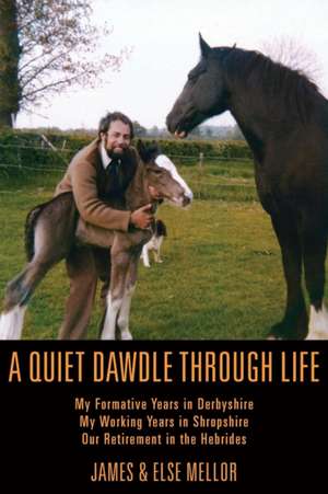 A Quiet Dawdle Through Life de James Mellor