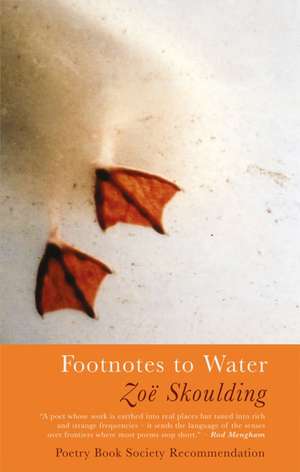 Footnotes to Water de Zoe Skoulding