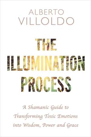 Villoldo, A: The Illumination Process de Alberto Villoldo