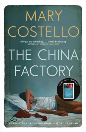 The China Factory de Mary Costello