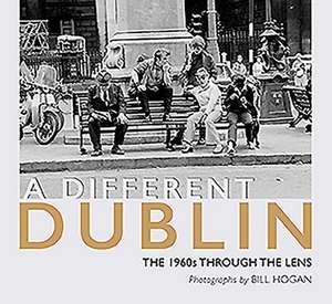 A Different Dublin de Bill Hogan