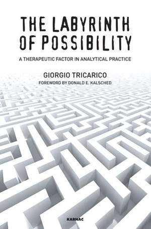 The Labyrinth of Possibility: A Therapeutic Factor in Analytical Practice de Giorgio Tricarico