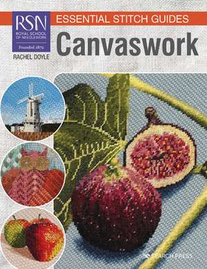 RSN Essential Stitch Guides: Canvaswork de Rachel Doyle