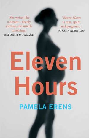 Erens, P: Eleven Hours de Pamela Erens