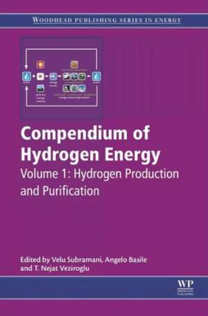 Compendium of Hydrogen Energy: Hydrogen Production and Purification de Velu Subramani