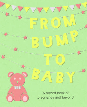 From Bump to Baby: A record book of pregnancy and beyond de CICO Books